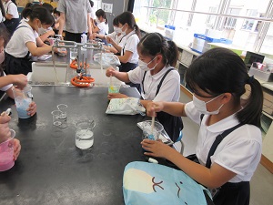 IMG_1435 IMG_1435