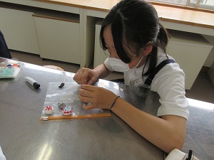 IMG_1436 IMG_1436