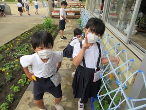 IMG_1458 IMG_1458