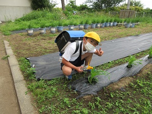 IMG_1459 IMG_1459