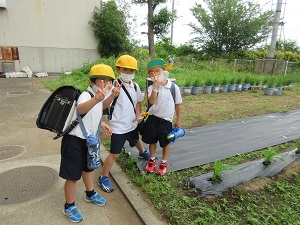 IMG_1460 IMG_1460