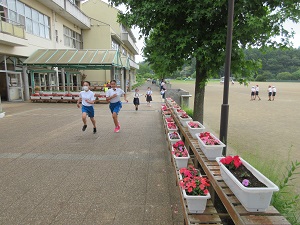 IMG_1463 IMG_1463