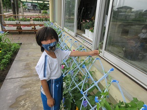 IMG_1632 IMG_1632