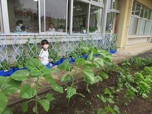 IMG_1635 IMG_1635