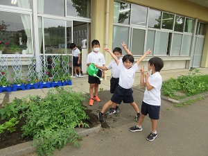 IMG_1638 IMG_1638