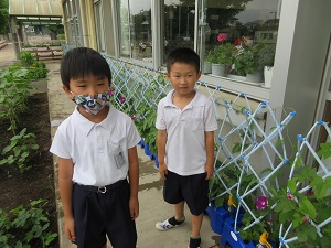 IMG_1644 IMG_1644