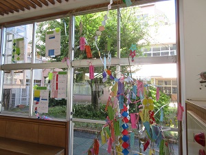 IMG_1648 IMG_1648