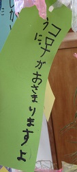 IMG_1649 IMG_1649