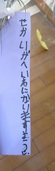 IMG_1652 IMG_1652