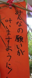 IMG_1651 IMG_1651