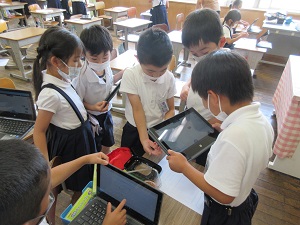 IMG_1655 IMG_1655
