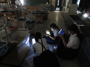 IMG_1666 IMG_1666