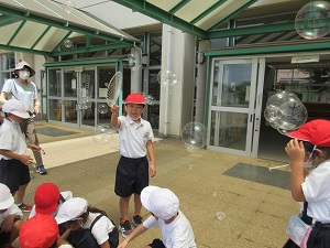 IMG_1672 IMG_1672