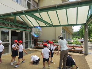 IMG_1679 IMG_1679