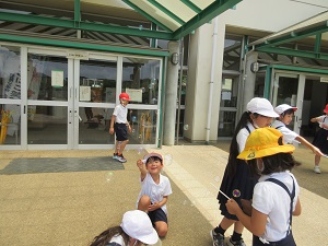IMG_1681 IMG_1681