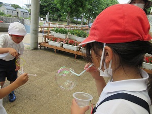 IMG_1684 IMG_1684