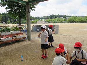 IMG_1689 IMG_1689