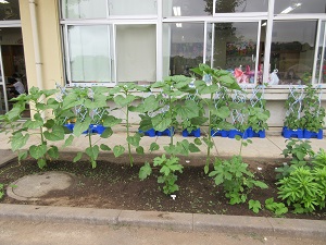 IMG_1696 IMG_1696