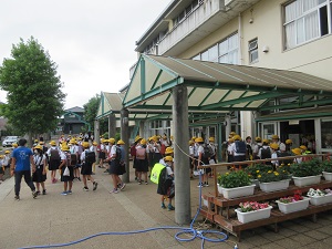 IMG_1700 IMG_1700