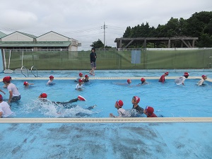 IMG_1705 IMG_1705