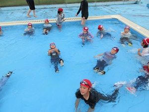 IMG_1713 IMG_1713