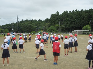 IMG_1731 IMG_1731