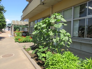 IMG_1786 IMG_1786