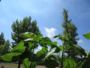IMG_1789 IMG_1789