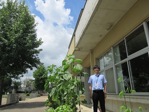 IMG_1795 IMG_1795