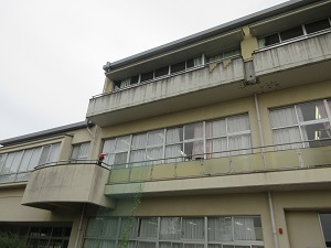 IMG_1844