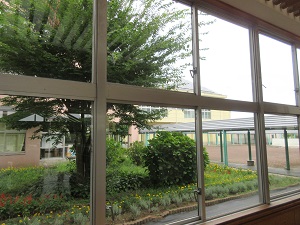 IMG_1848