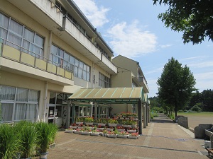 IMG_1849