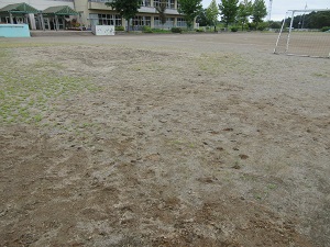 IMG_1935