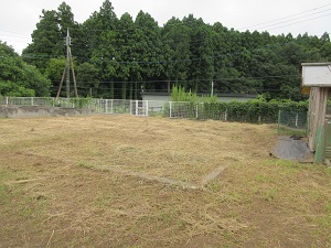 IMG_1937