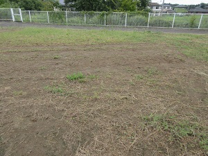 IMG_1939