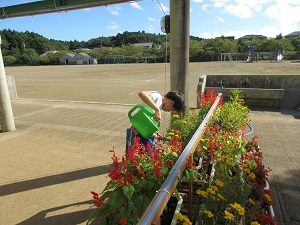 IMG_1974