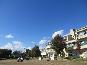 IMG_2523