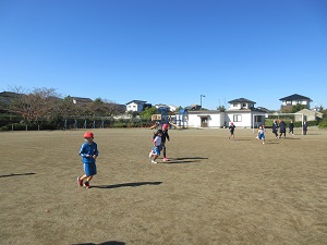 IMG_2528