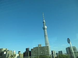 IMG_2635