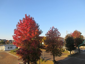 IMG_2705