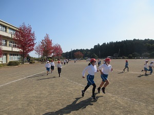 IMG_2726