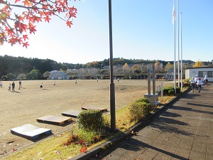 IMG_2782
