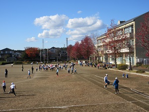 IMG_2799