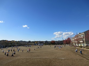 IMG_2801