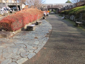 IMG_8457