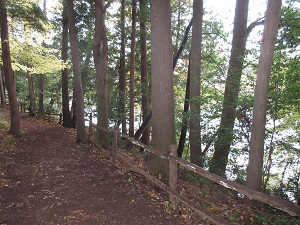 IMG_1479