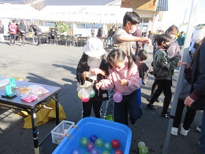 IMG_8593 IMG_8593
