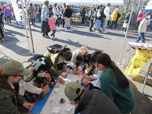 IMG_8596 IMG_8596