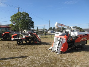 IMG_8609 IMG_8609