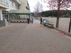 IMG_8615 IMG_8615